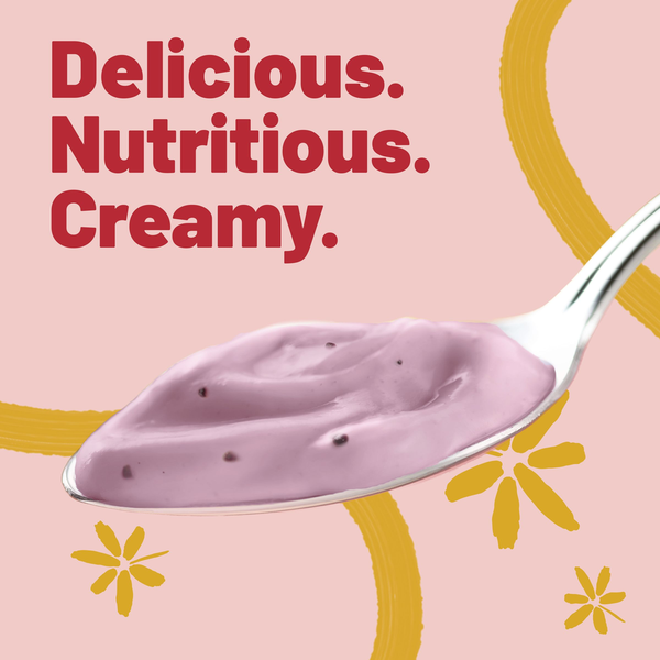 Yoplait Original Low Fat Blackberry Harvest Yogurt Cup