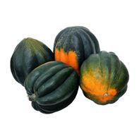 Acorn Squash️ DestGlow