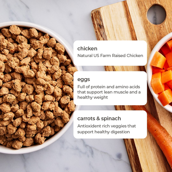 Freshpet Fresh Cat Food, Moisture Rich Tender Bites, Tender Chicken Recipe