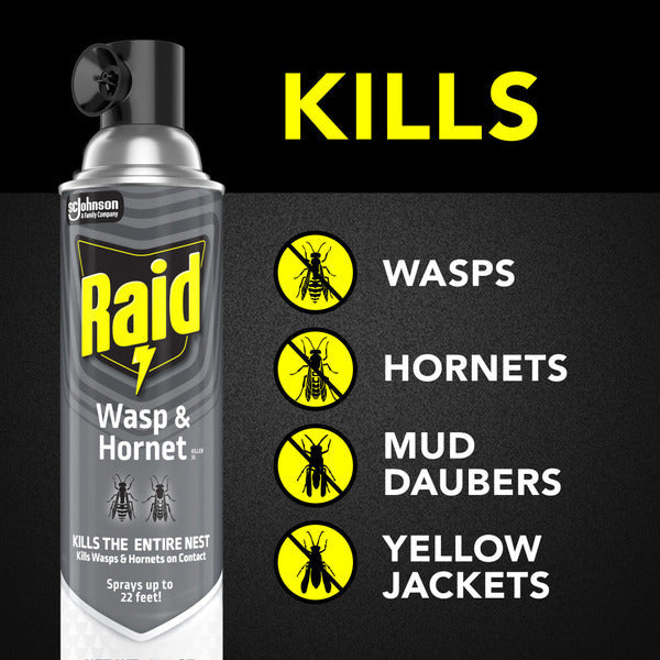 Raid® Wasp & Hornet Killer, Outdoor Flying Insect Spray