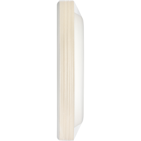 Hefty Compostable Plates