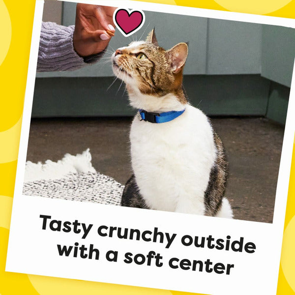 TEMPTATIONS Indoor Care Crunchy and Soft Cat Treats, Chicken Flavor