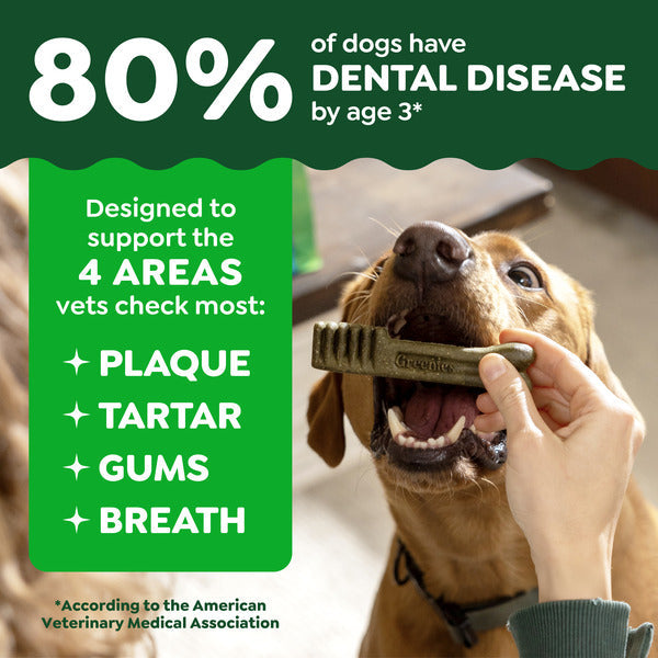 GREENIES Original Regular Daily Dental Treats for Dogs