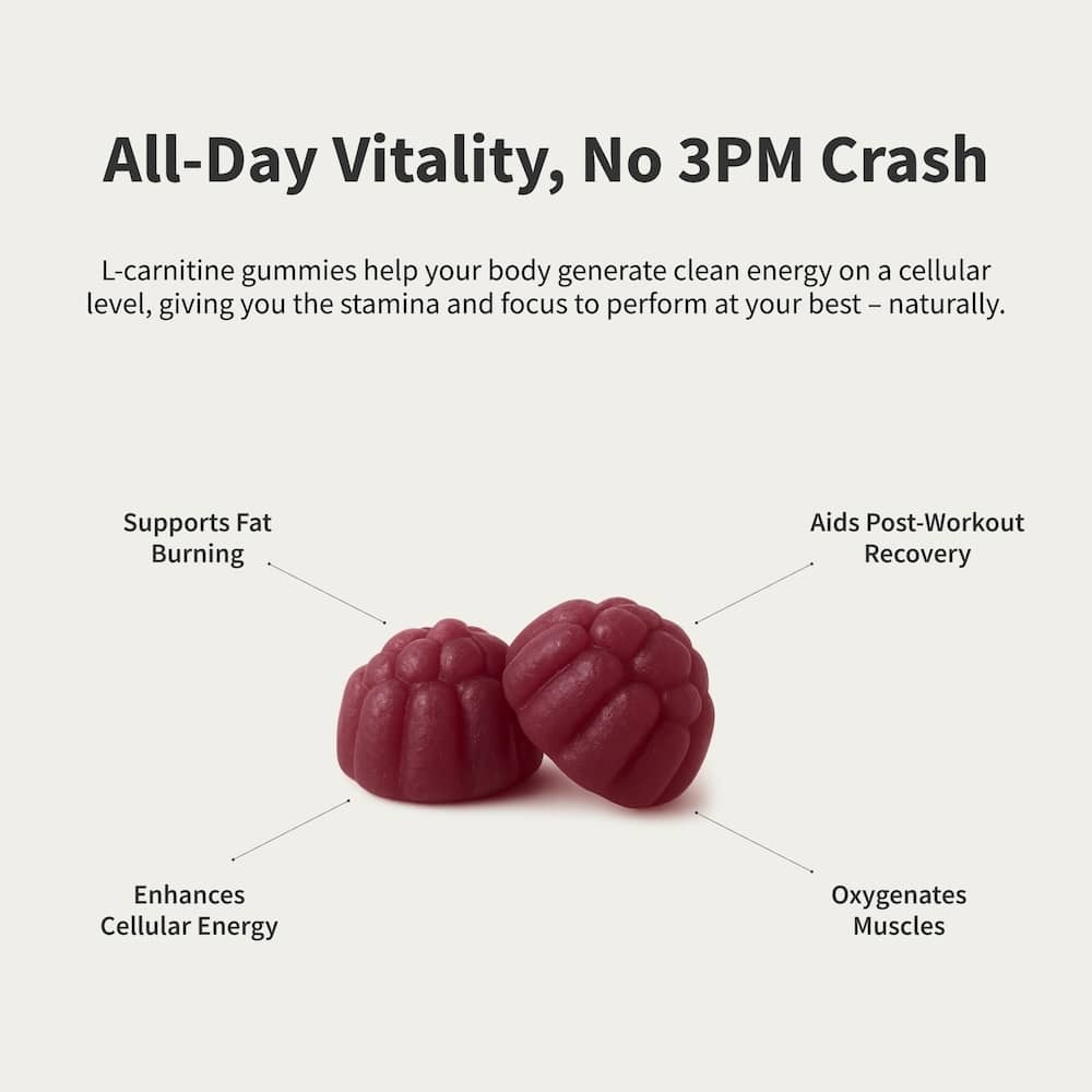 L-Carnitine Sugar-Free Blueberry Gummies by Snap Supplements