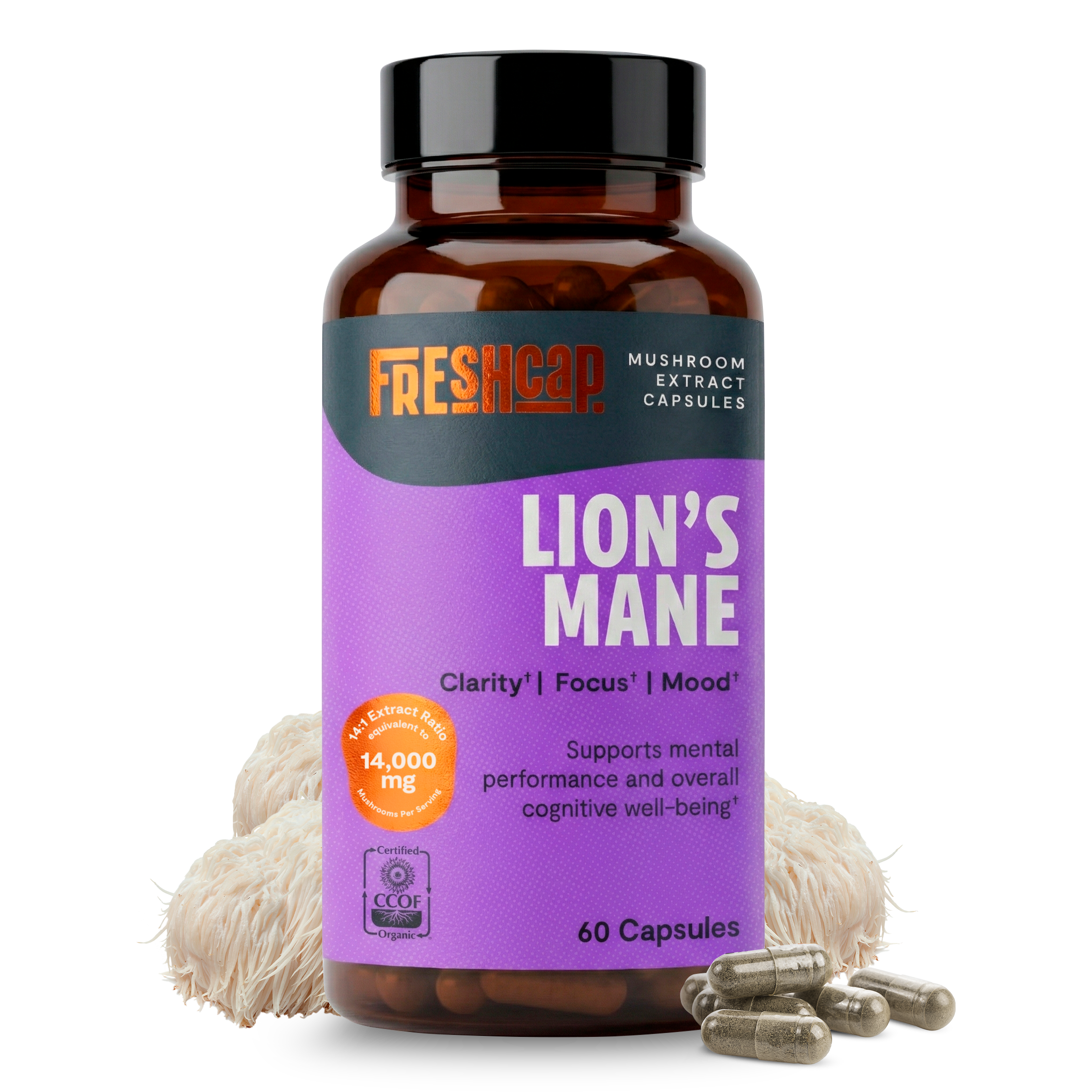 Lion&