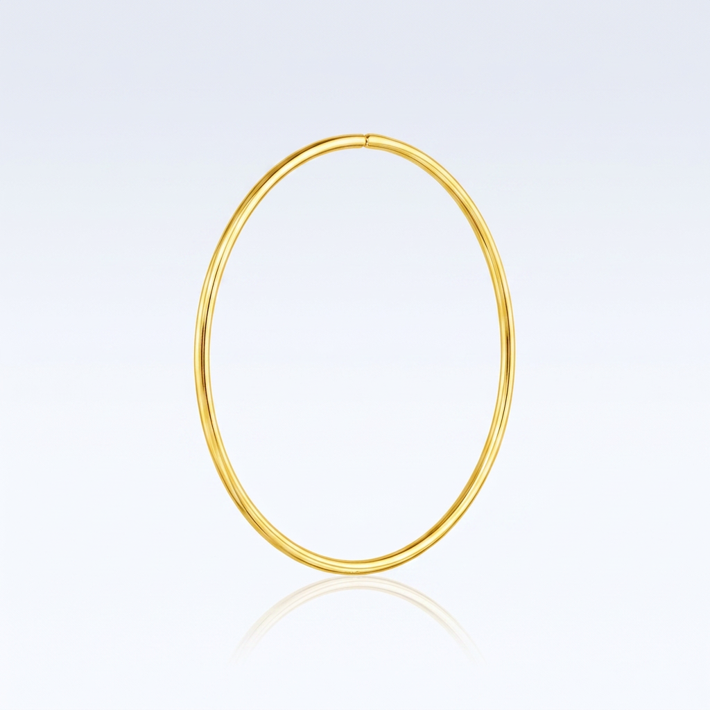 Endless Hoop Style Earring in 14K Yellow Gold DestGlow
