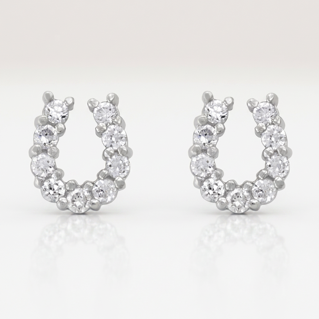 Lucky Horseshoe Earring Set