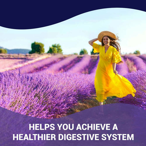 Luma Gut Plus Probiotics - Digestive Health Supplement for Men & Women
