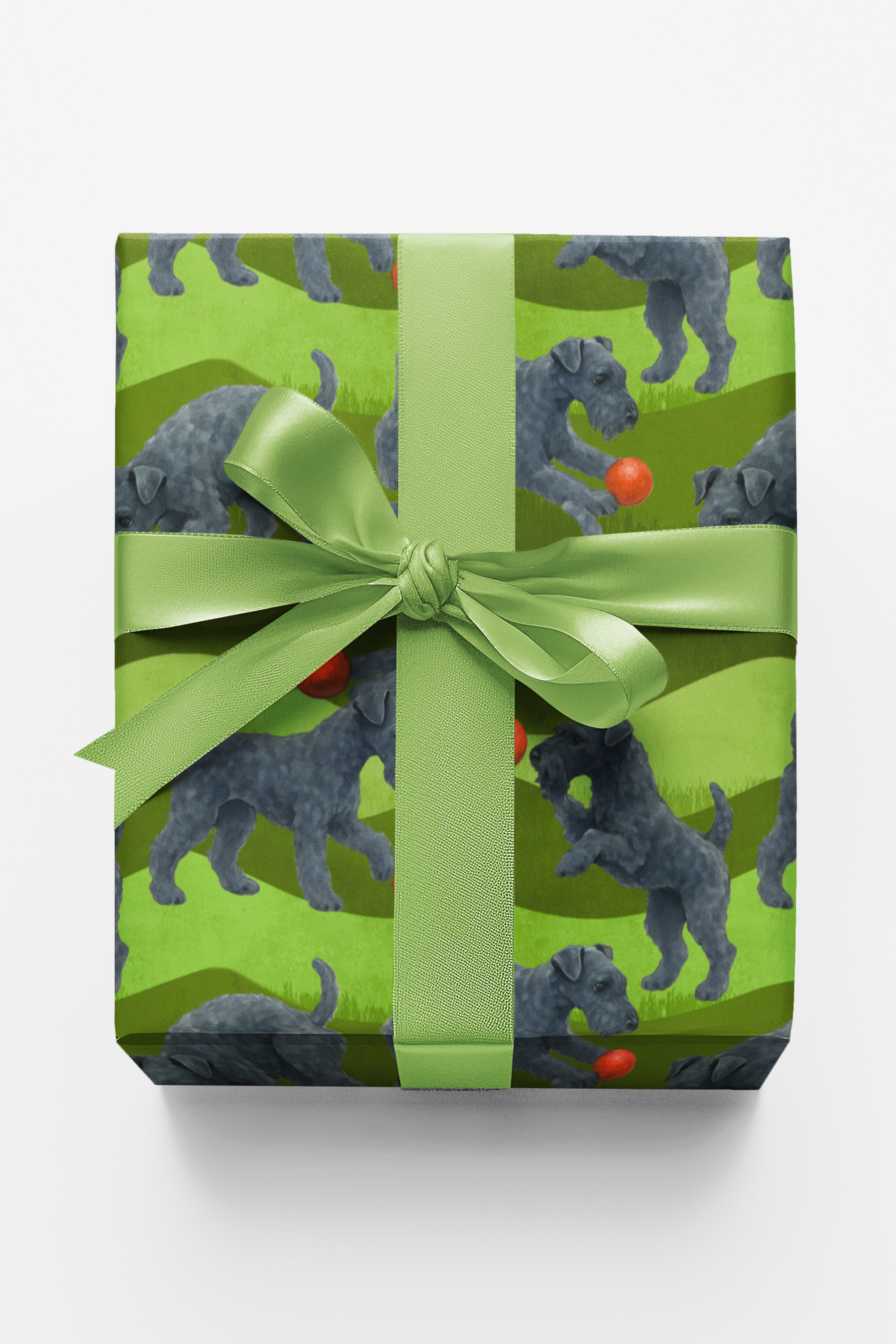 Garden Kerry Blue Terrier