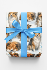 Velvet Steps, Christmas Light