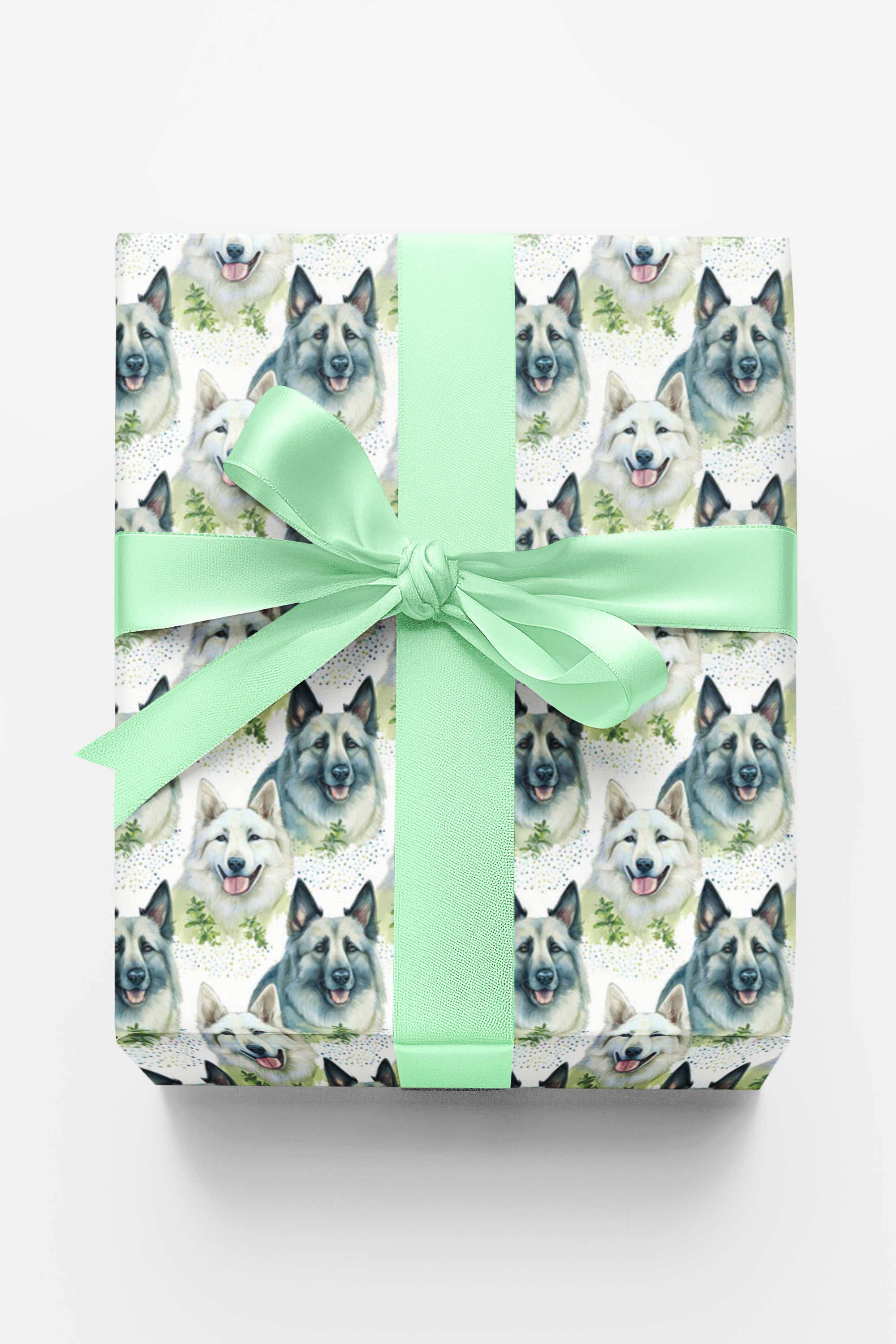 Shiloh Shepherd
Adorable