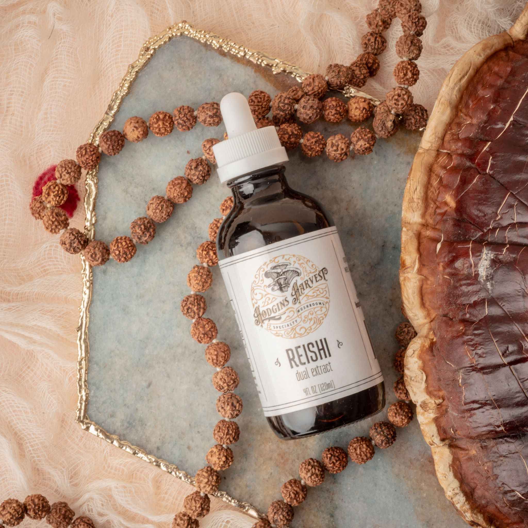 Reishi Dual Extract Tincture