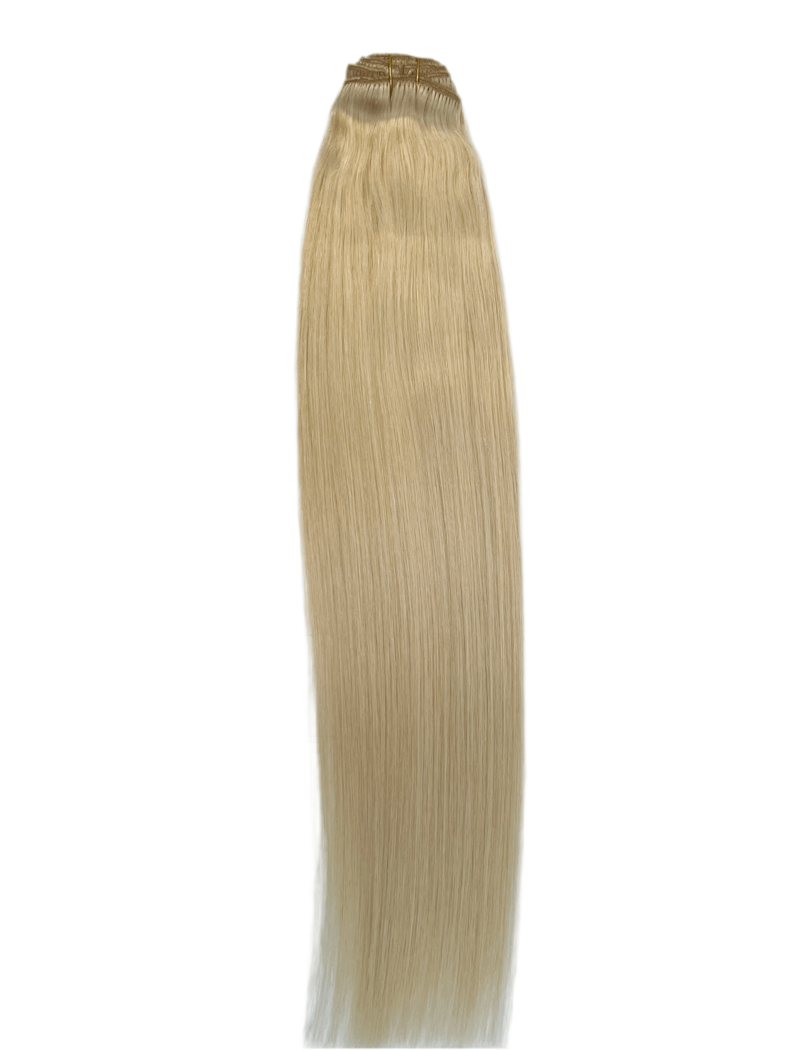 VIP Clip Extensions / Silky Straight 24" (170 g) - ClipeX System