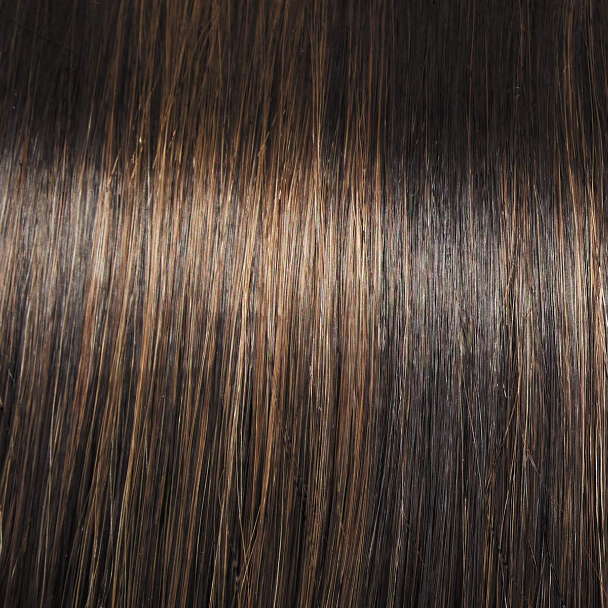 Raquel Welch Big Spender Wig, RL4/10SS Shaded Iced Java