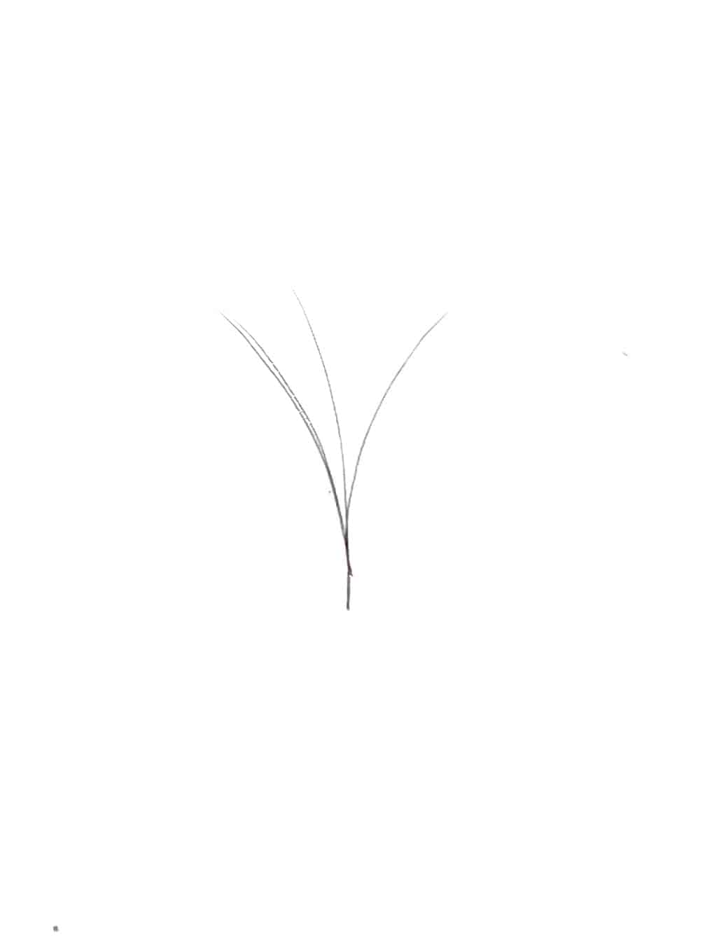 VIP Extensions V Type Easy Fan Lash Extensions 0.05 C Curl 12 Lines, 8 mm