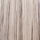 Raquel Welch Black Tie Chic Wig, RL19/23SS Shaded Biscuit