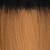 FreeTress Equal Star Girl Drawstring Fullcap Half Wig, OT27
