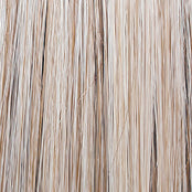 Raquel Welch Black Tie Chic Wig, RL19/23SS Shaded Biscuit