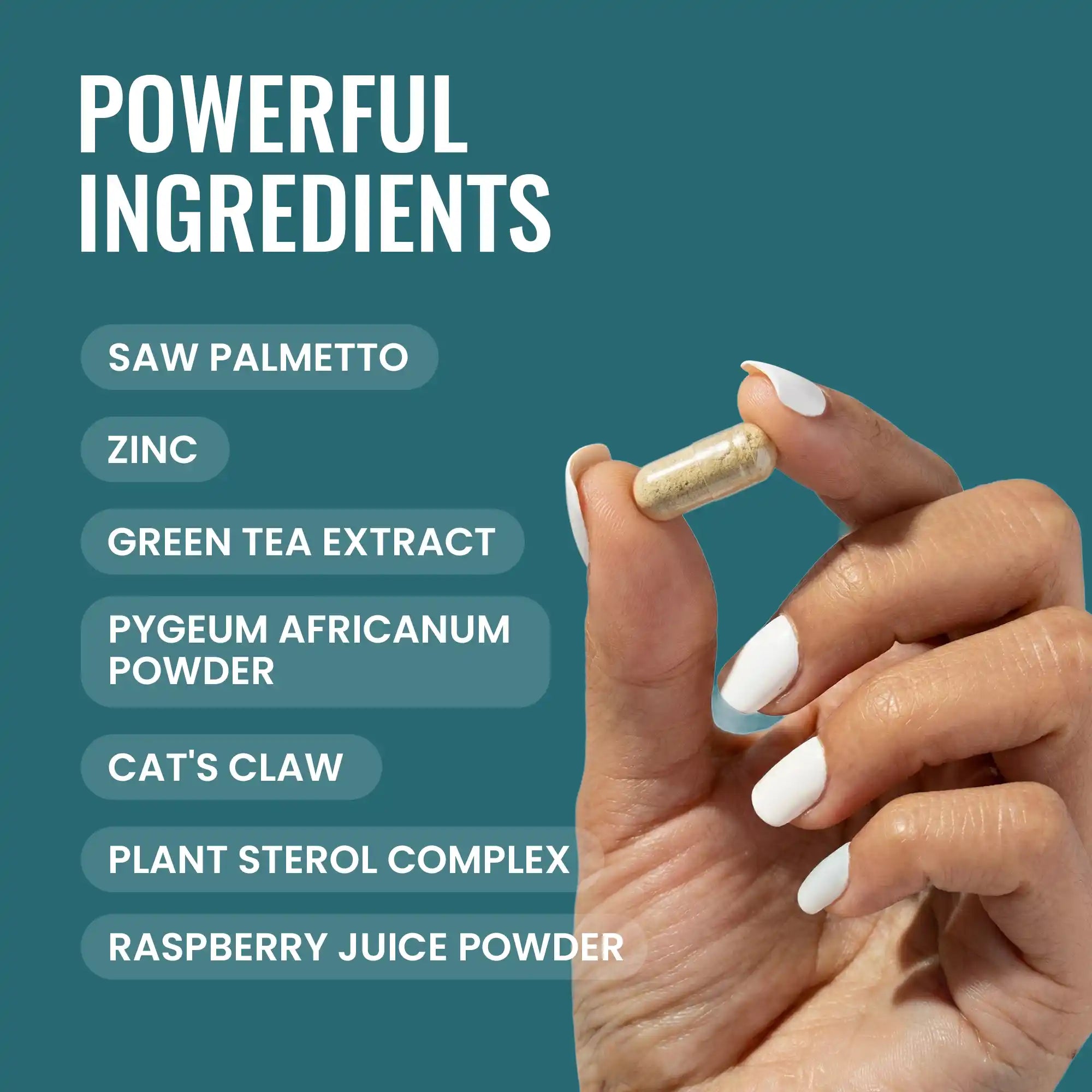 ProstateSP | Prostate Support Formula with Potent Ingredients