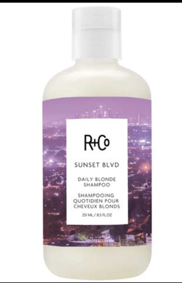 R+Co Sunset Blvd Blonde Shampoo, 8.5 oz
