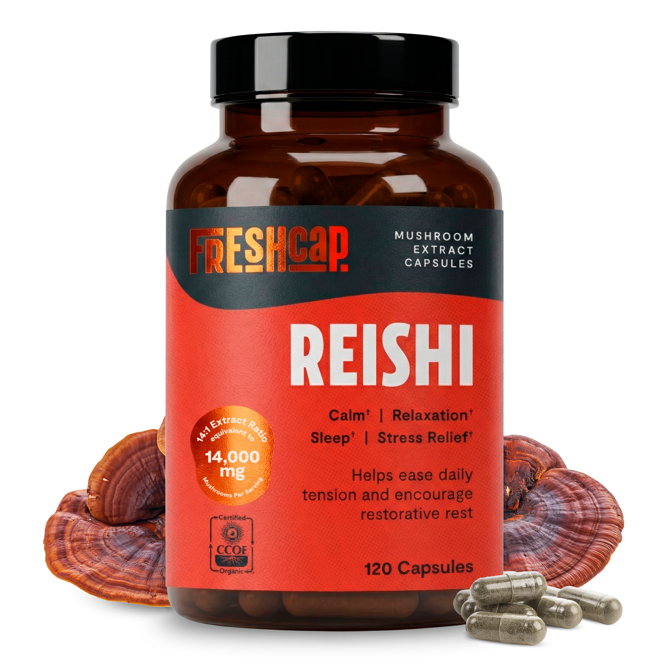 Reishi Mushroom Extract Capsules by FreshCap Mushrooms