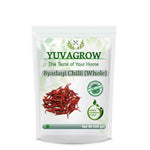 Yuvagrow Red Chilli Byadagi