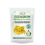 Yuvagrow Turmeric Whole