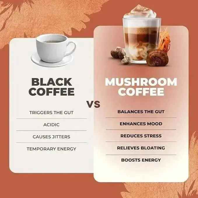RYZE Mushroom Coffee Pack of 3 | 6 Adaptogenic Mushrooms | Organic | Instant Coffee | MCT Oil | Better Energy, Focus, Digestion, Immunity | Cordyceps, Lion’s Mane, Shiitake, Reishi, Turkey Tail, King Trumpet