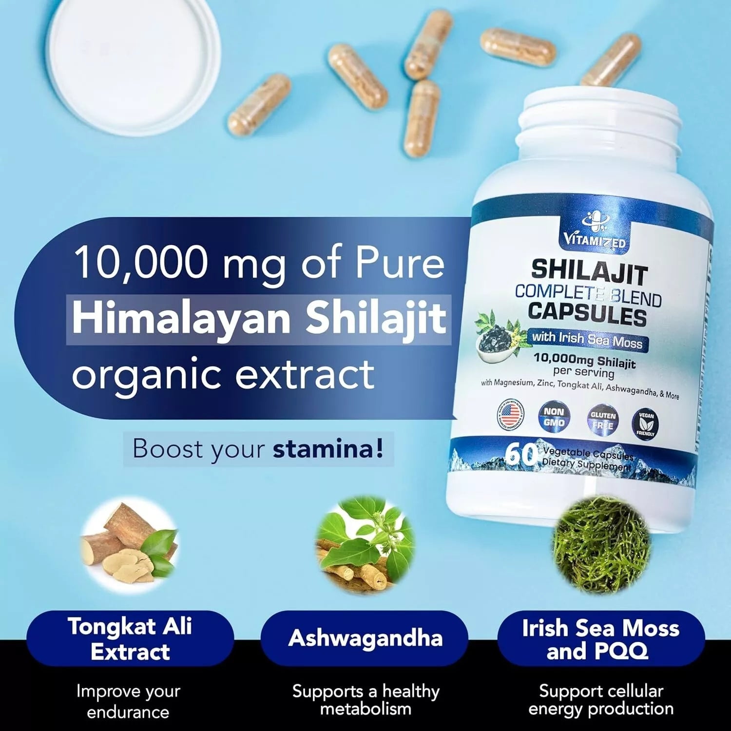 Shilajit Complete Blend - Energy and Endurance - Pure Shilajit Extract - 60 Capsules DestGlow