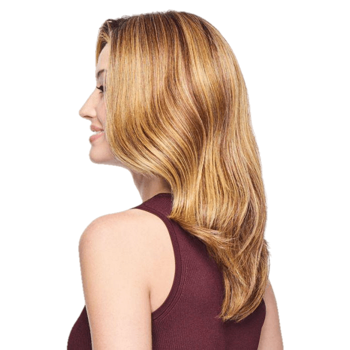 Raquel Welch Style Society Wig