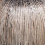 Raquel Welch Style Society Wig