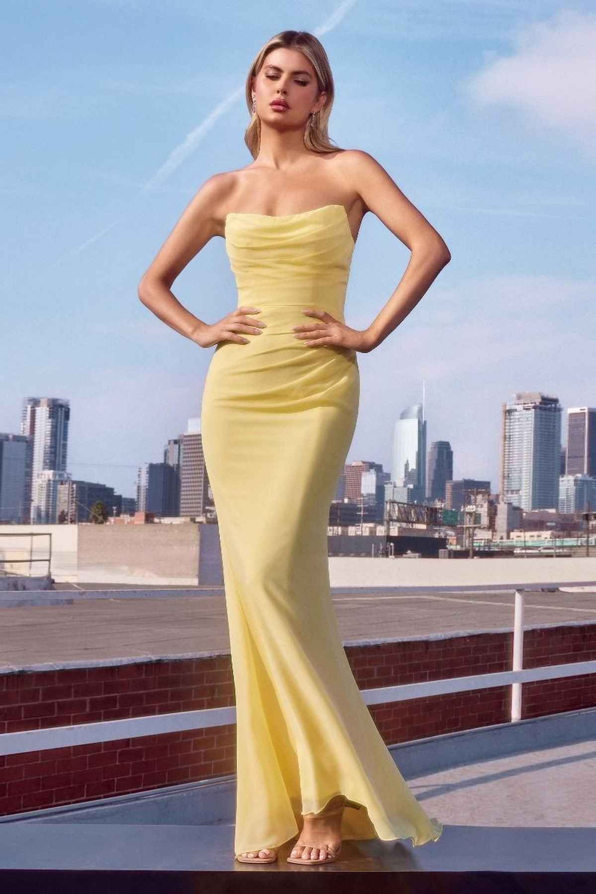 Ladivine Amoris T702 Strapless Scoop Neckline Fitted Chiffon Dress by DiscountDressShop