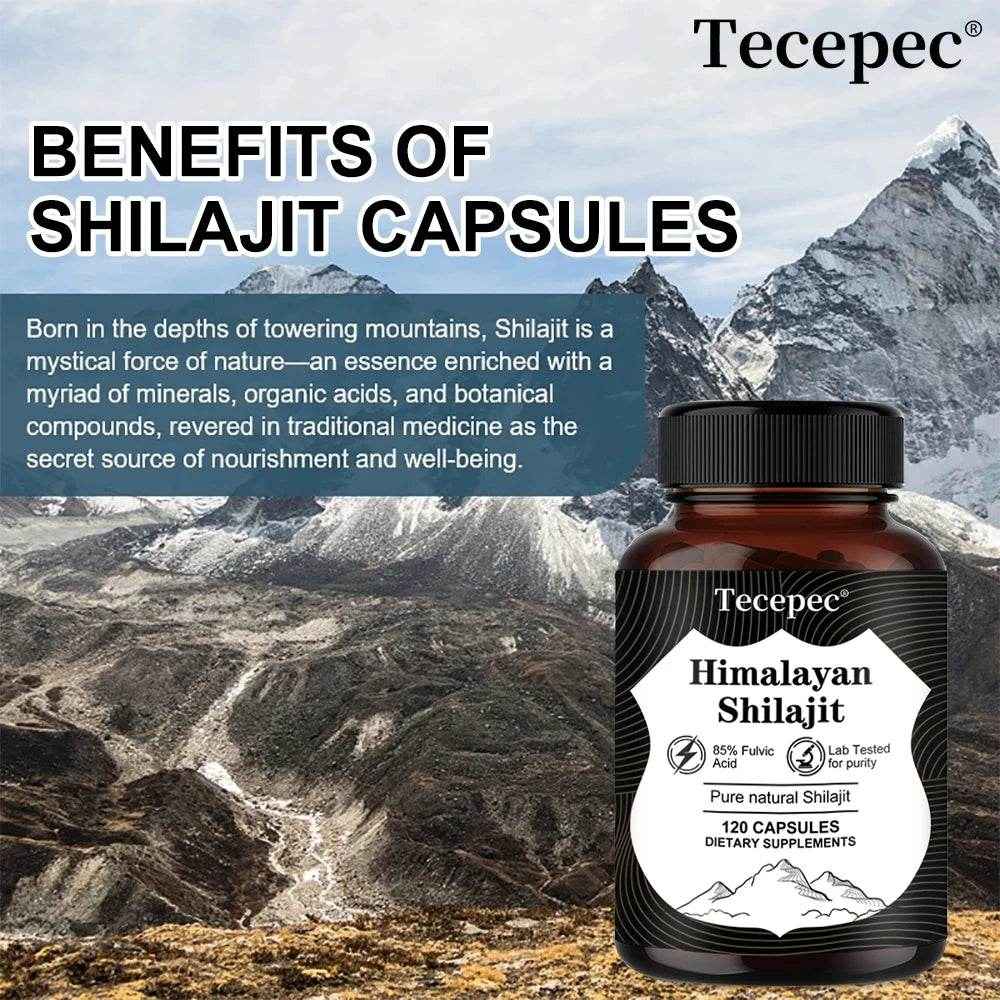 Himalaya Muscle Growth Supplements - Tecepec Shilajit