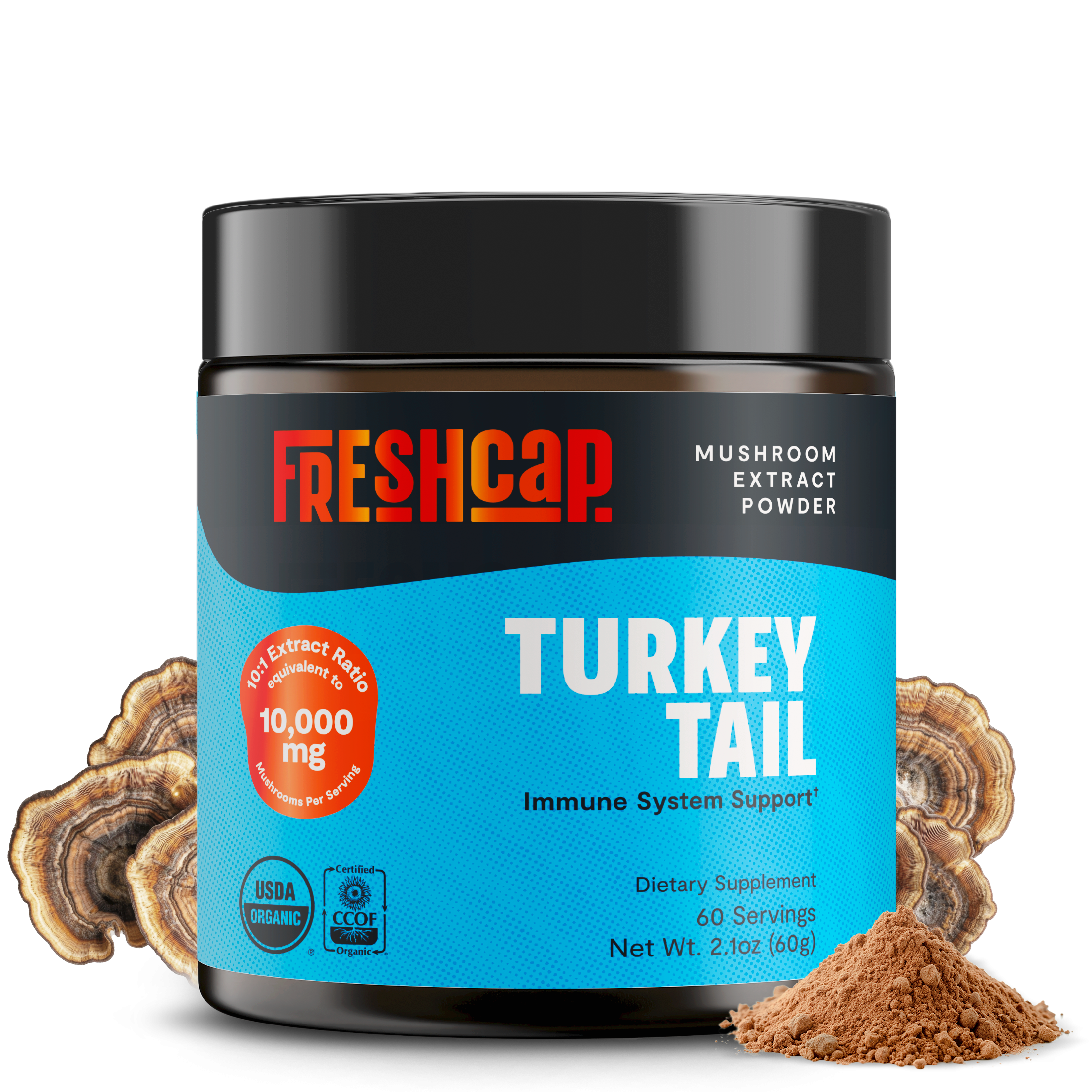 Turkey Tail Mushroom Extract Powder