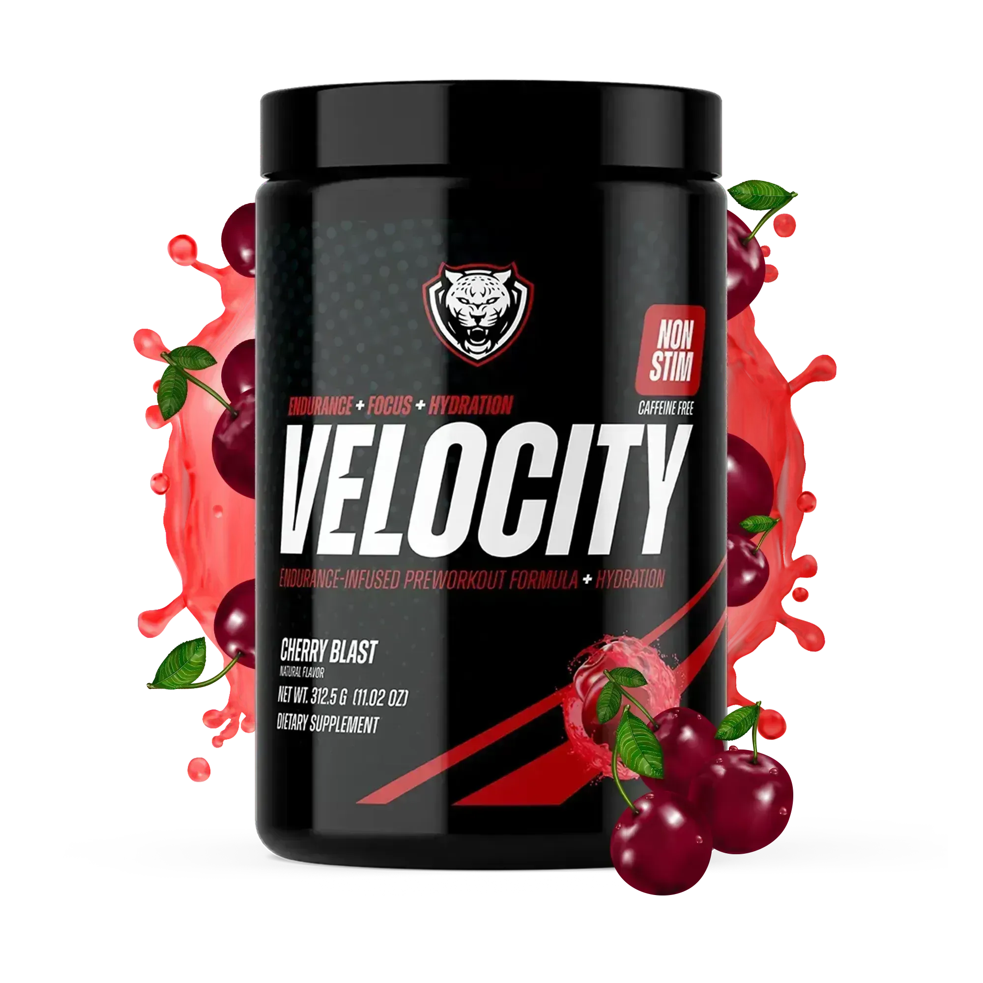 VELOCITY