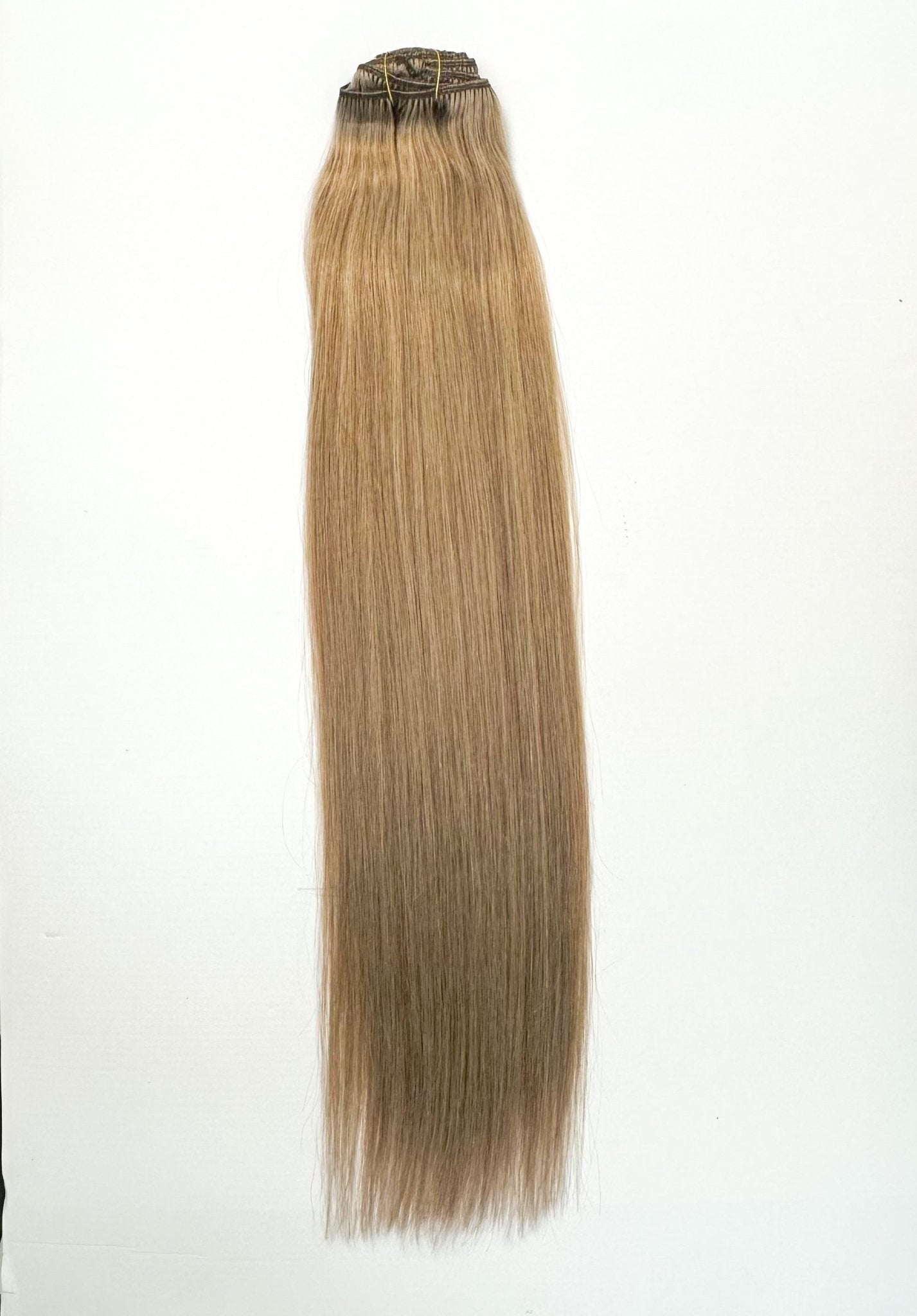 VIP Clip Extensions / Silky Straight 24" (170 g) - ClipeX System