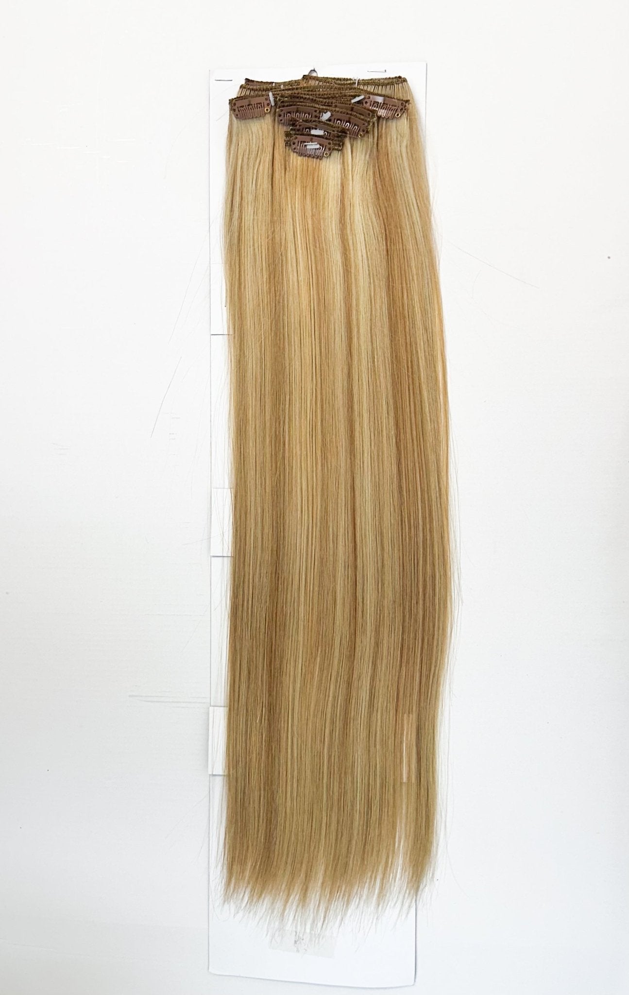 VIP Clip Extensions / Silky Straight 24" (170 g) - ClipeX System
