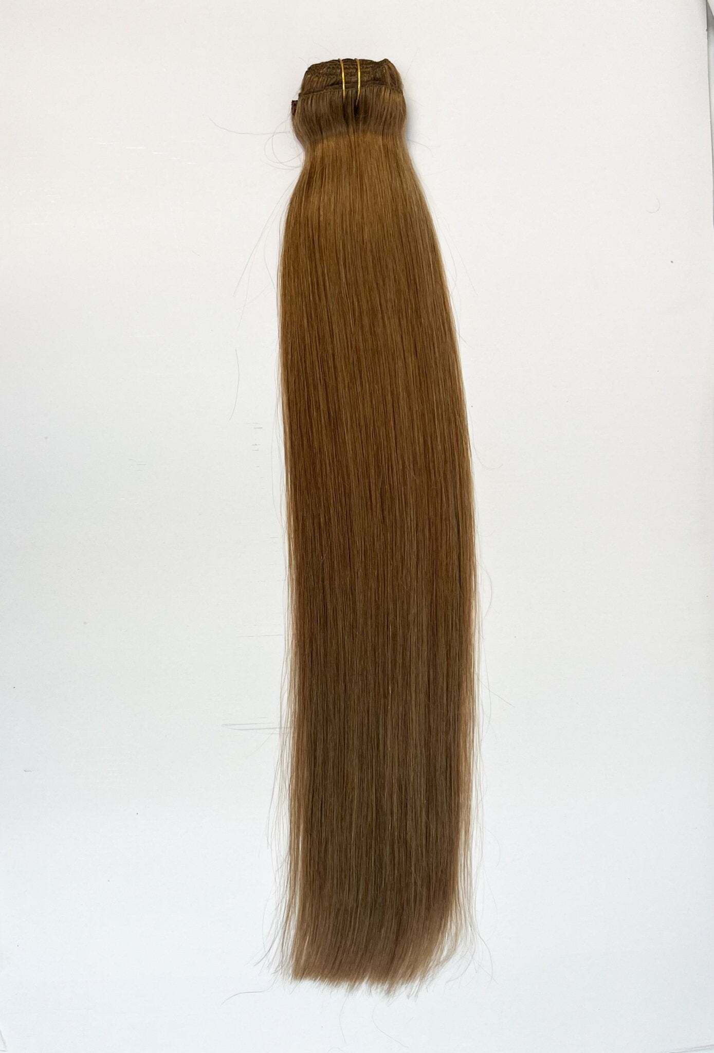 VIP Clip Extensions / Silky Straight 24" (170 g) - ClipeX System