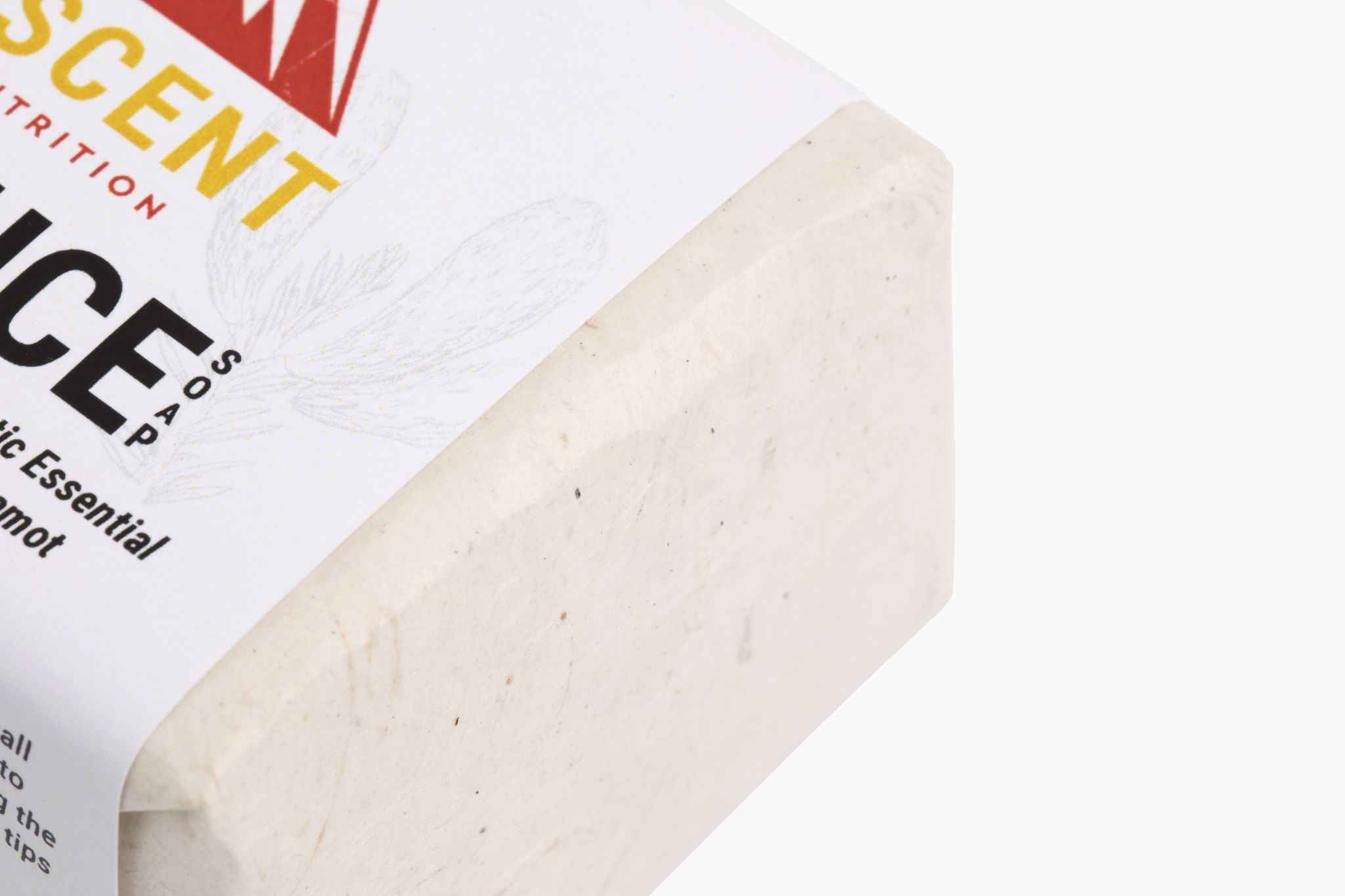 Wild-Harvested Spruce Soap, 6 oz Bar