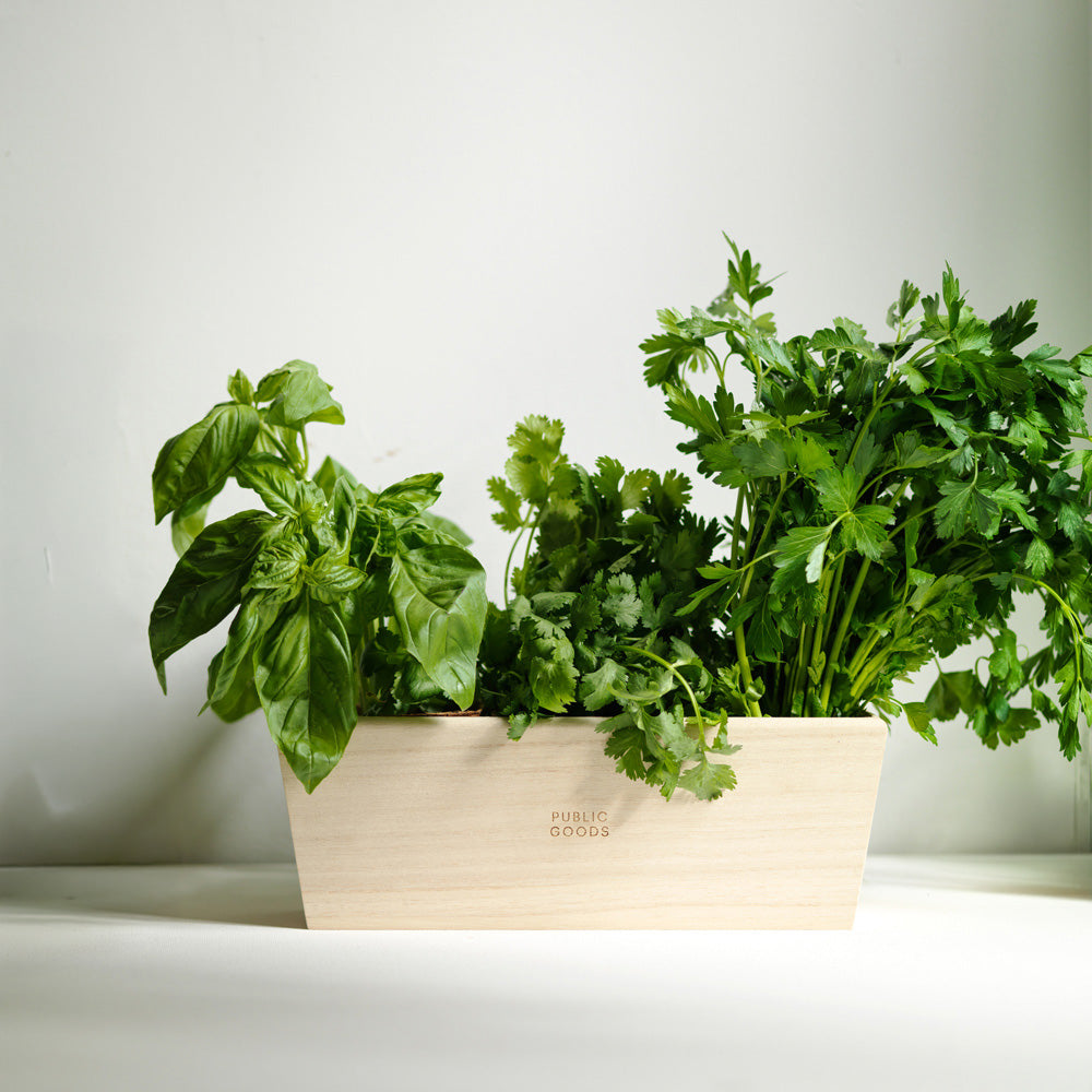 Wooden Herb Planter - DestGlow