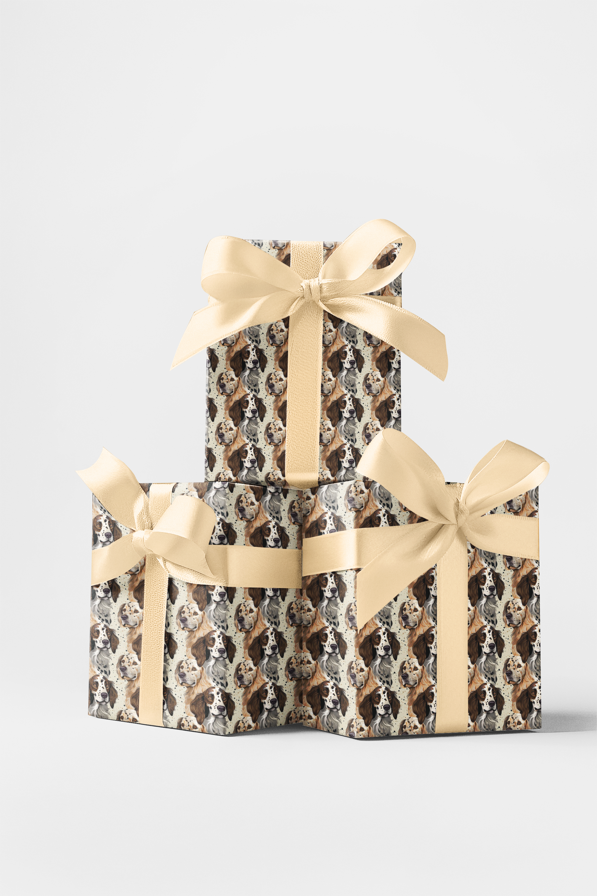 Setters in Stillness