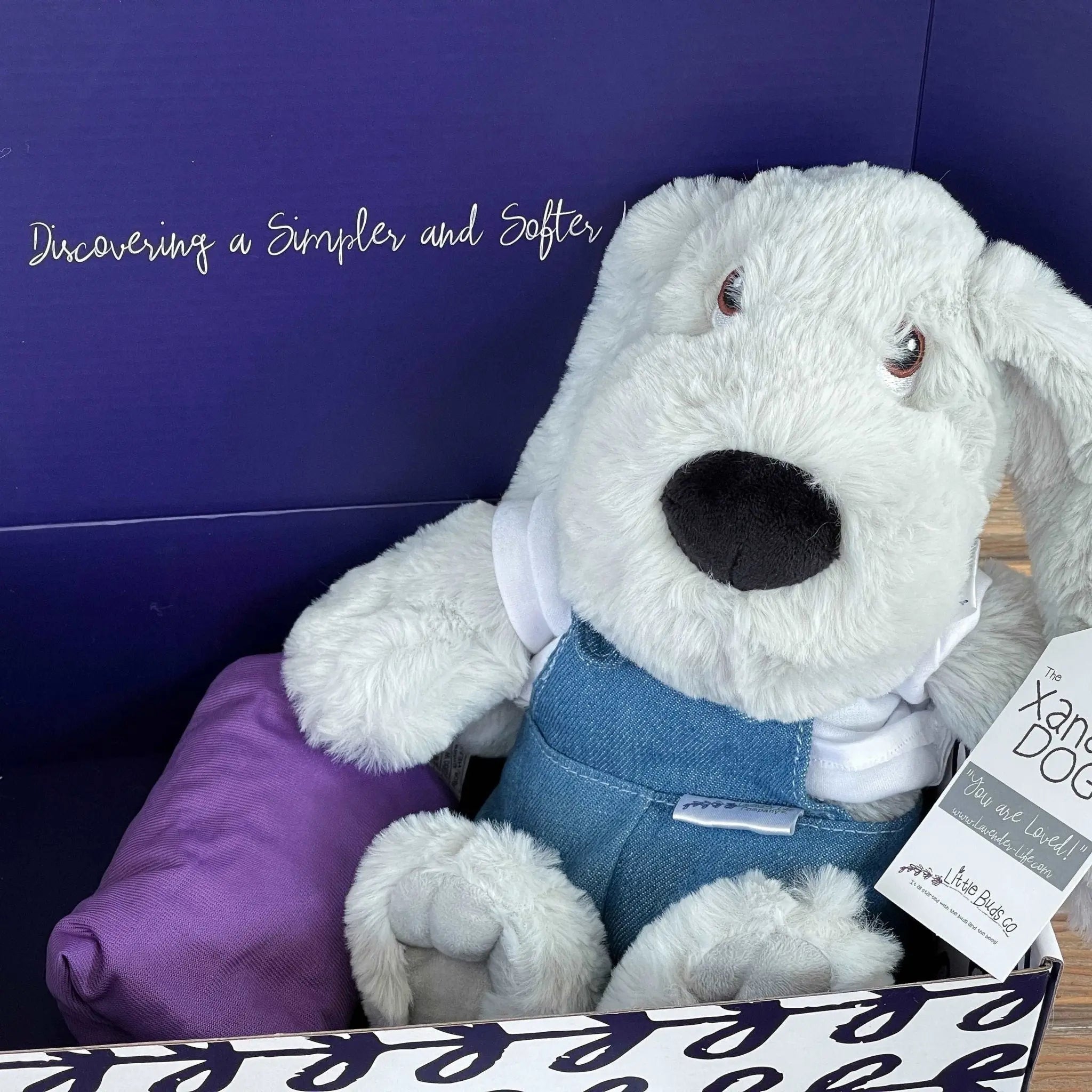Xander Stuffed Dog Gift Set - With Clothing & More by Lavender Life Company