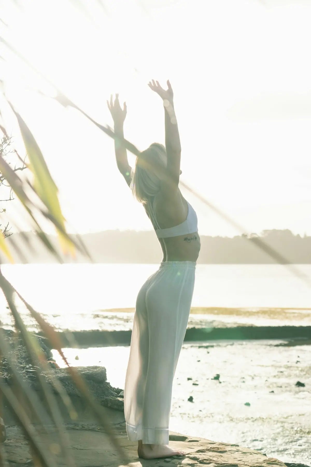 A Natural Wellness Routine to Balance and Beautify From Within - DestGlow