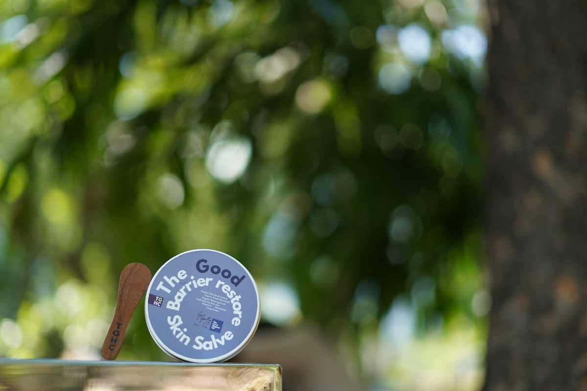 Jar of skin salve with wooden applicator outdoors