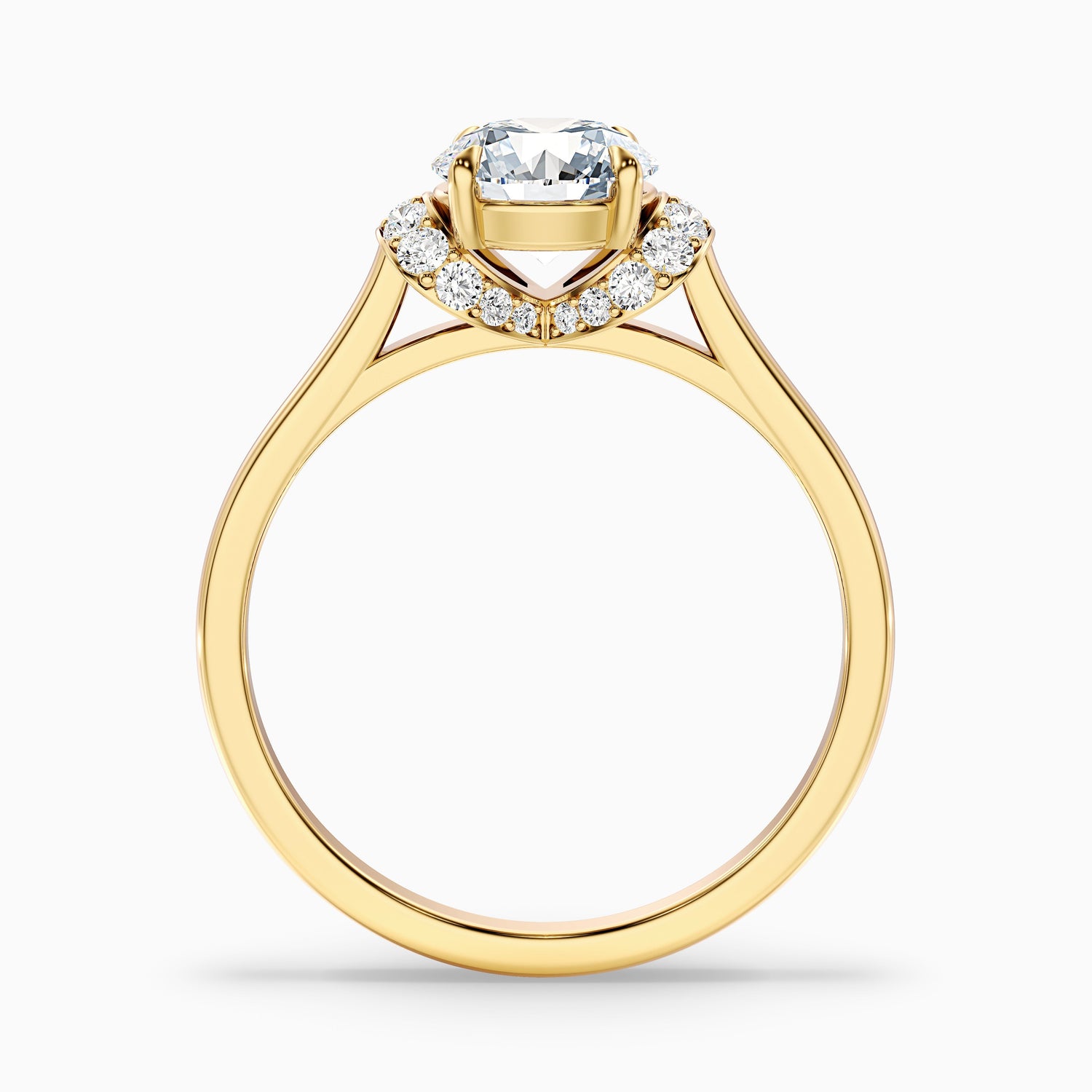 Frey 5 Carat Round Solitaire Pave Moissanite Diamond Ring in 10k White Gold