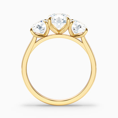 Iris 2 Carat Round Three Stone Moissanite Diamond Ring in Platinum