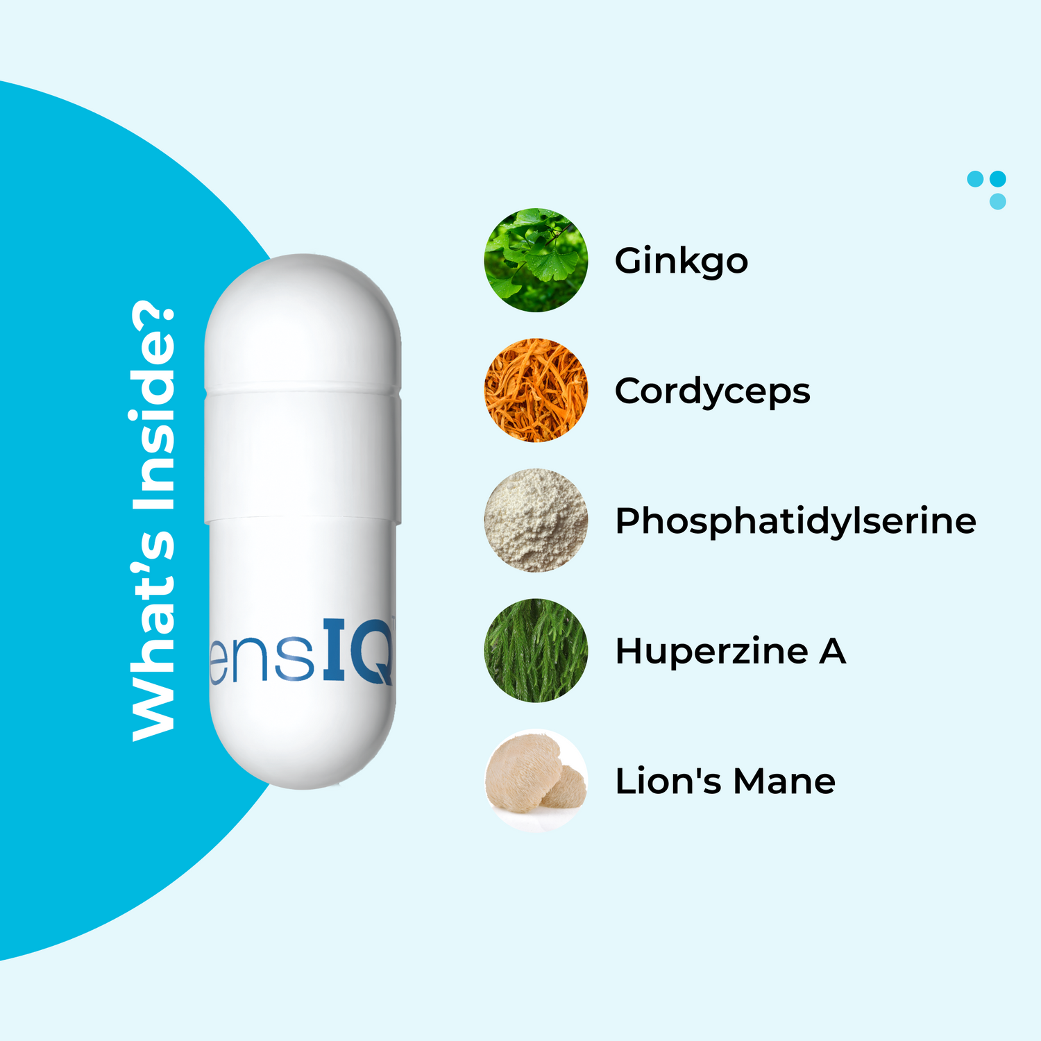 Memory Supplement for Brain Support