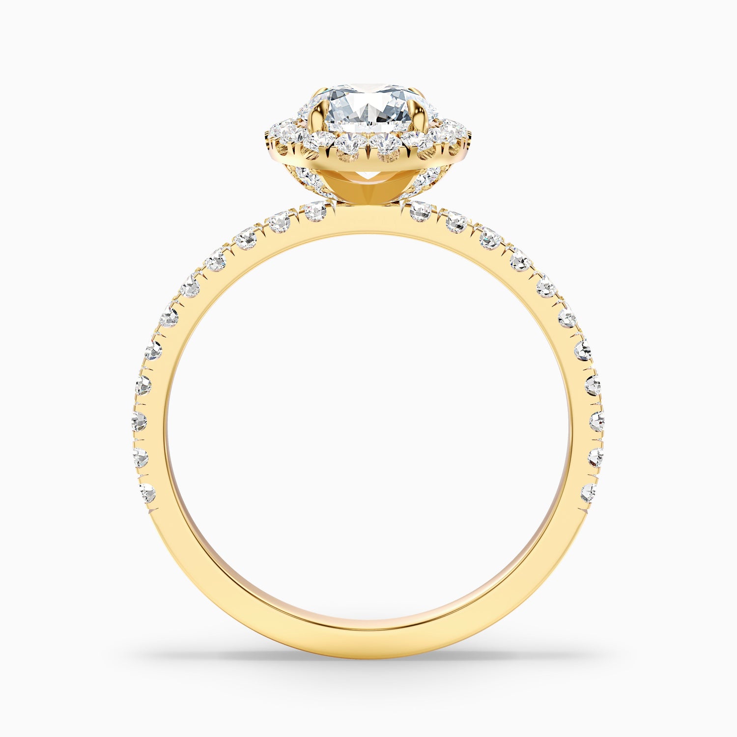 Hailey 1 Carat Round Cut Halo Moissanite Engagement Ring in 14k White Gold