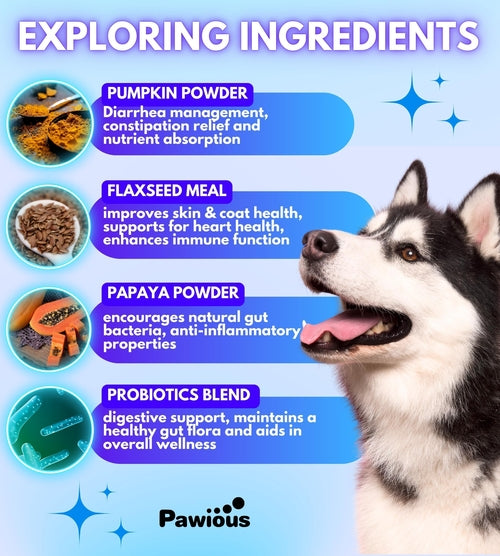 Probiotics for Dogs - Digestive Enzymes & Gut Flora Support for Digestive Health