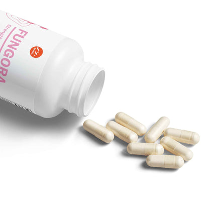 Fungora Mushroom Blend Supplement (60 Capsules)